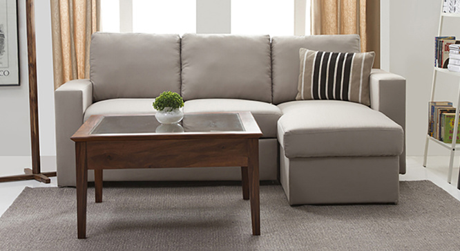 Sata Display Coffee Table(Teak)